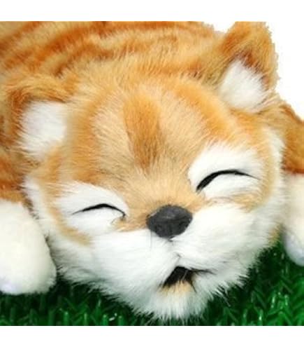 LOL Pets (ロウルペッツ) ころがり犬 VB-001 z2zed1b Amazon.co.jp: カワダ(Kawada) LOL Pets (ロウルペッツ